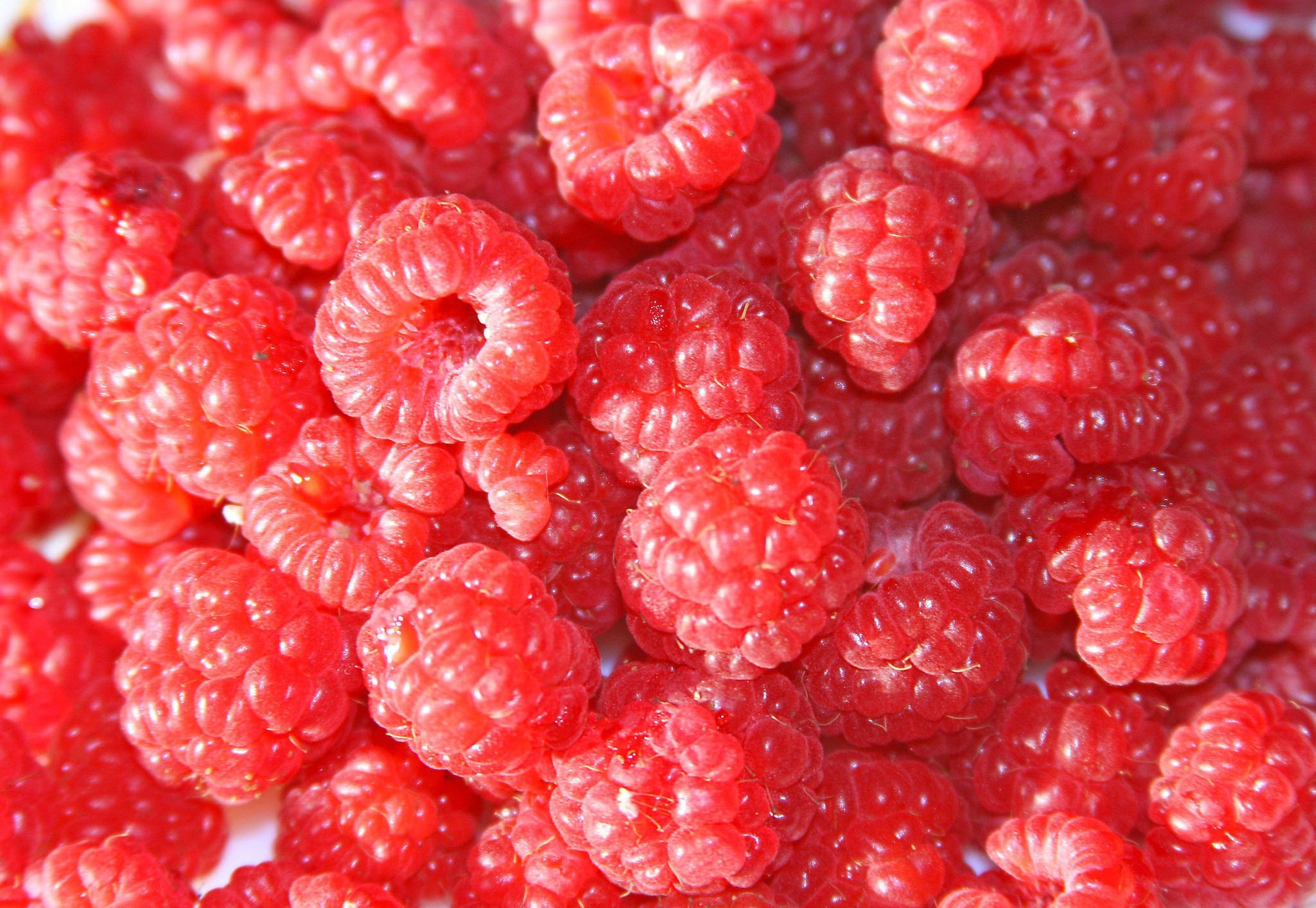 beeren himbeeren