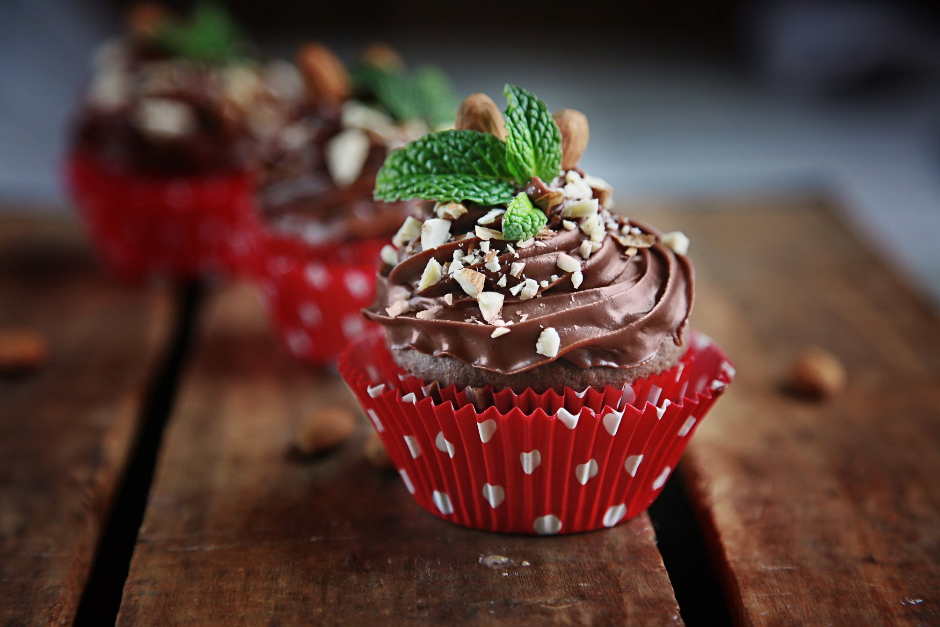 pasteles cupcake crema de chocolate nueces menta