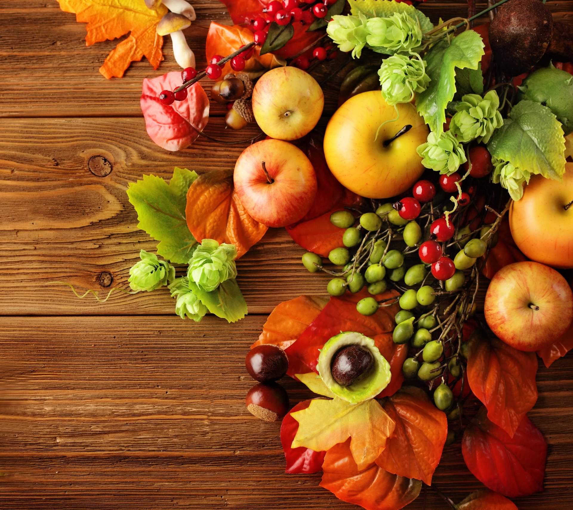 autumn leaves berries still life harvest apple