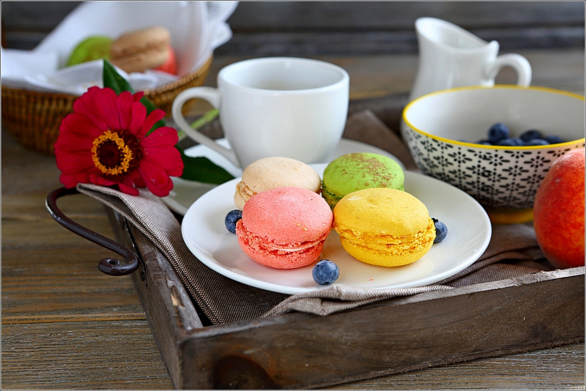 macarrón taza dulces comida flores flores