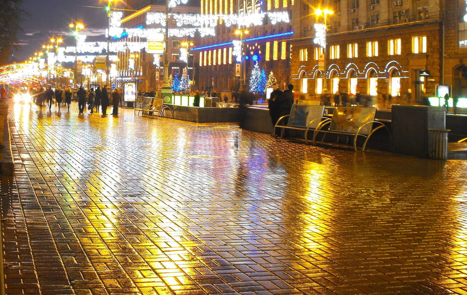 khreshchatyk kiev città di notte luci