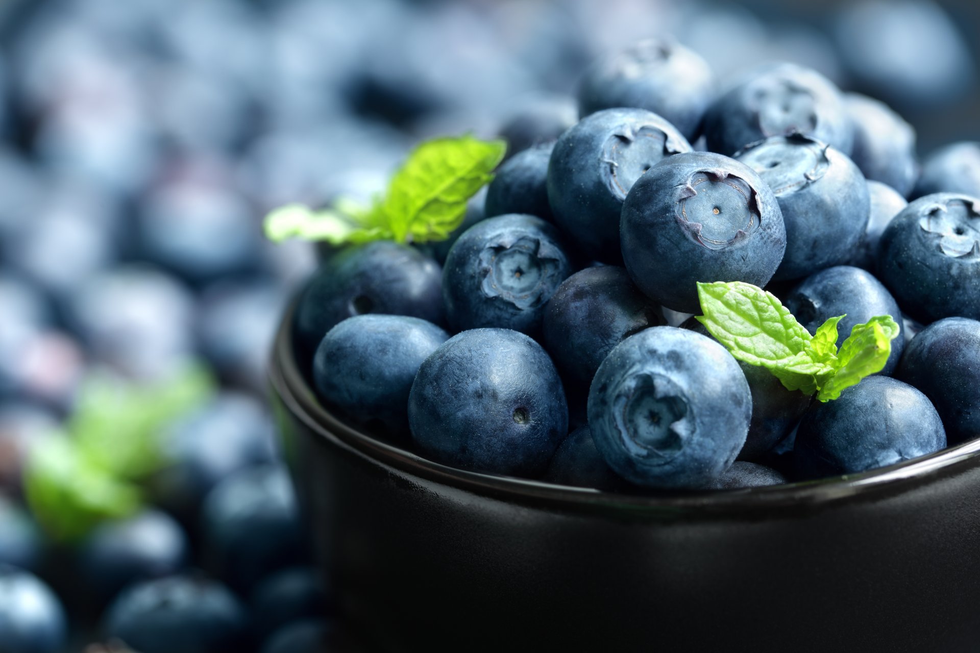 blueberries fresh berries blueberries blueberries bowl