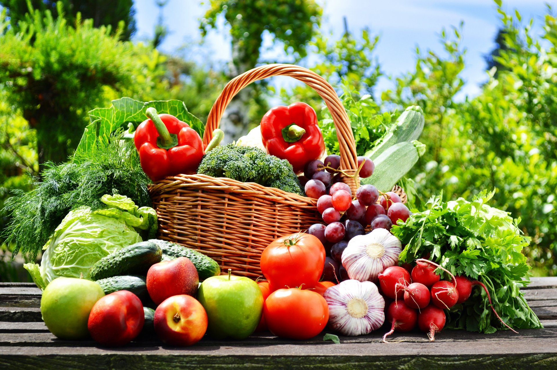 vegetables fruits shopping cabbage tomatoes garlic radish pepper cucumber grapes apples nature