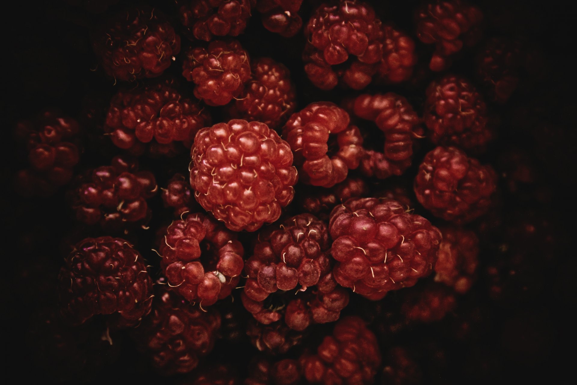 framboises rouge noir baies