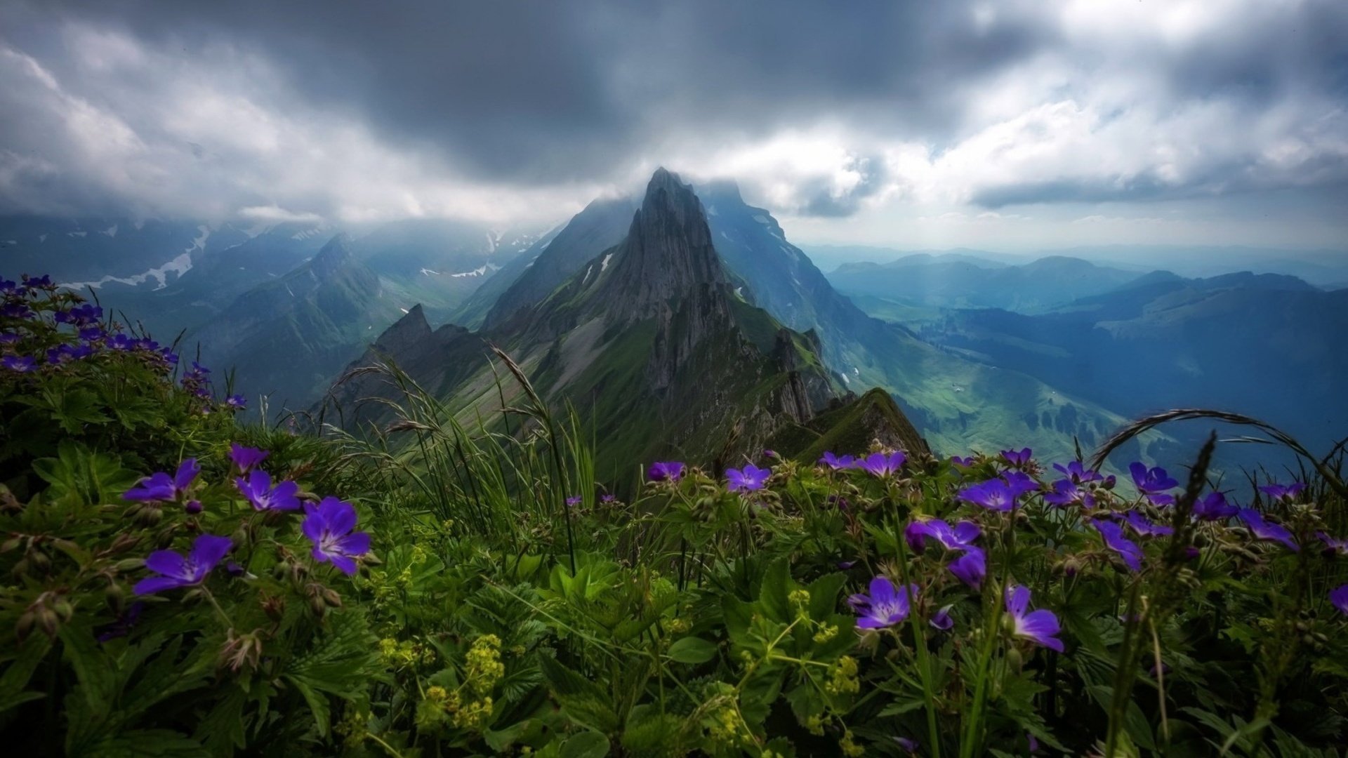 blumen berge landschaft himmel horizont lichtung