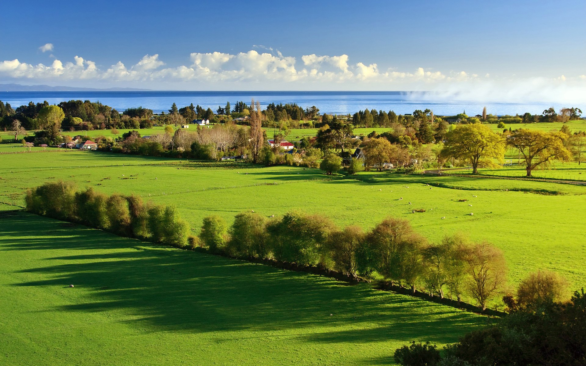 prati verdi paesaggio natura