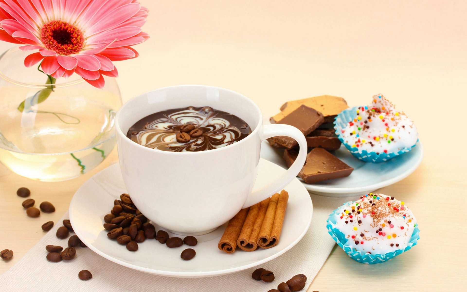 coffee food cup dessert chocolate flowers gerbera cake flower gerbera