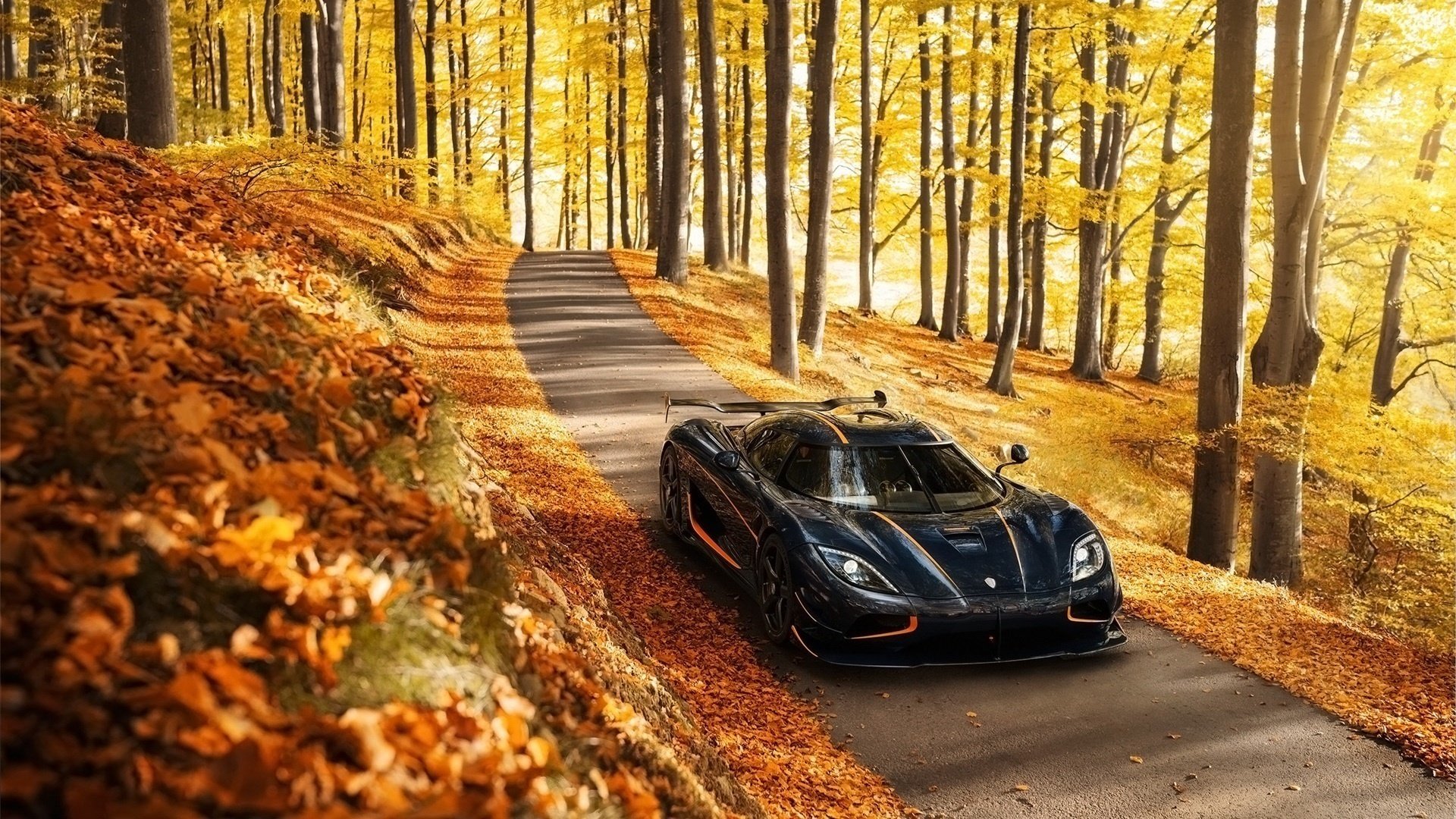 koenigsegg supercar autumn nature