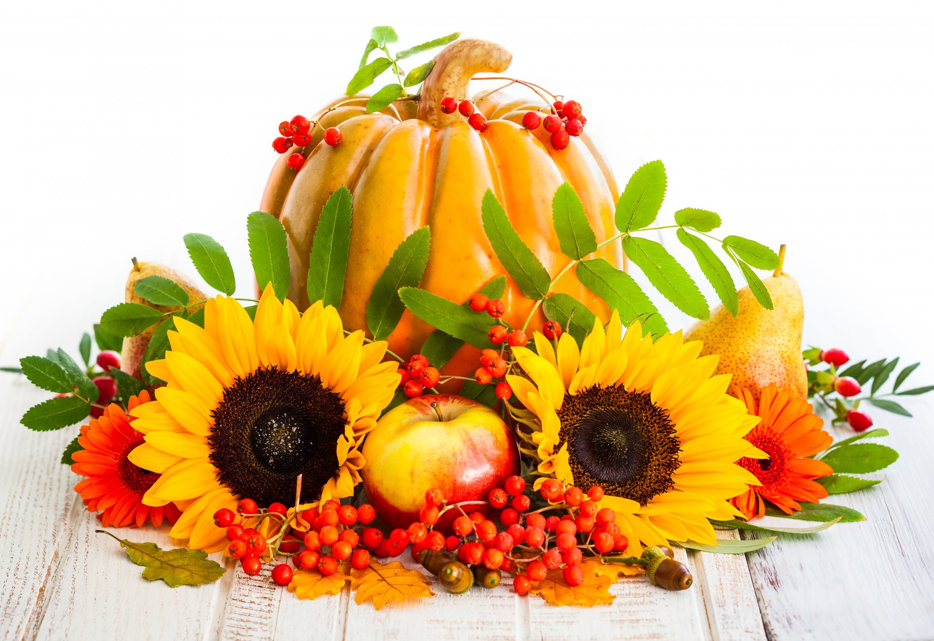 herbst ernte kürbis sonnenblume obst äpfel birnen sonnenblumen beeren blätter ernte