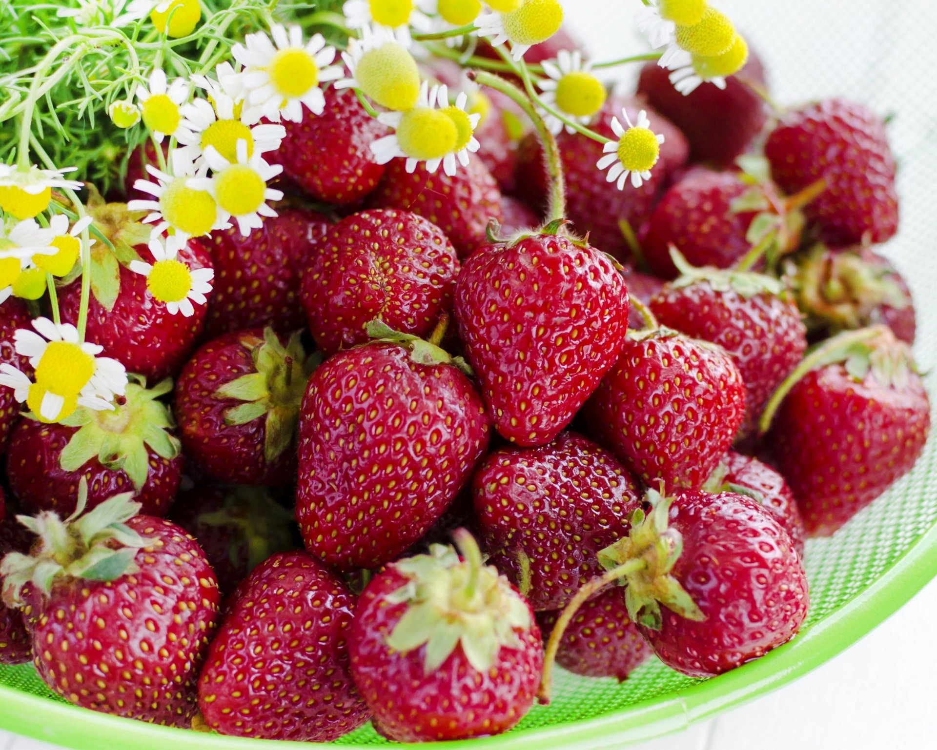 baies fraises marguerites fleurs