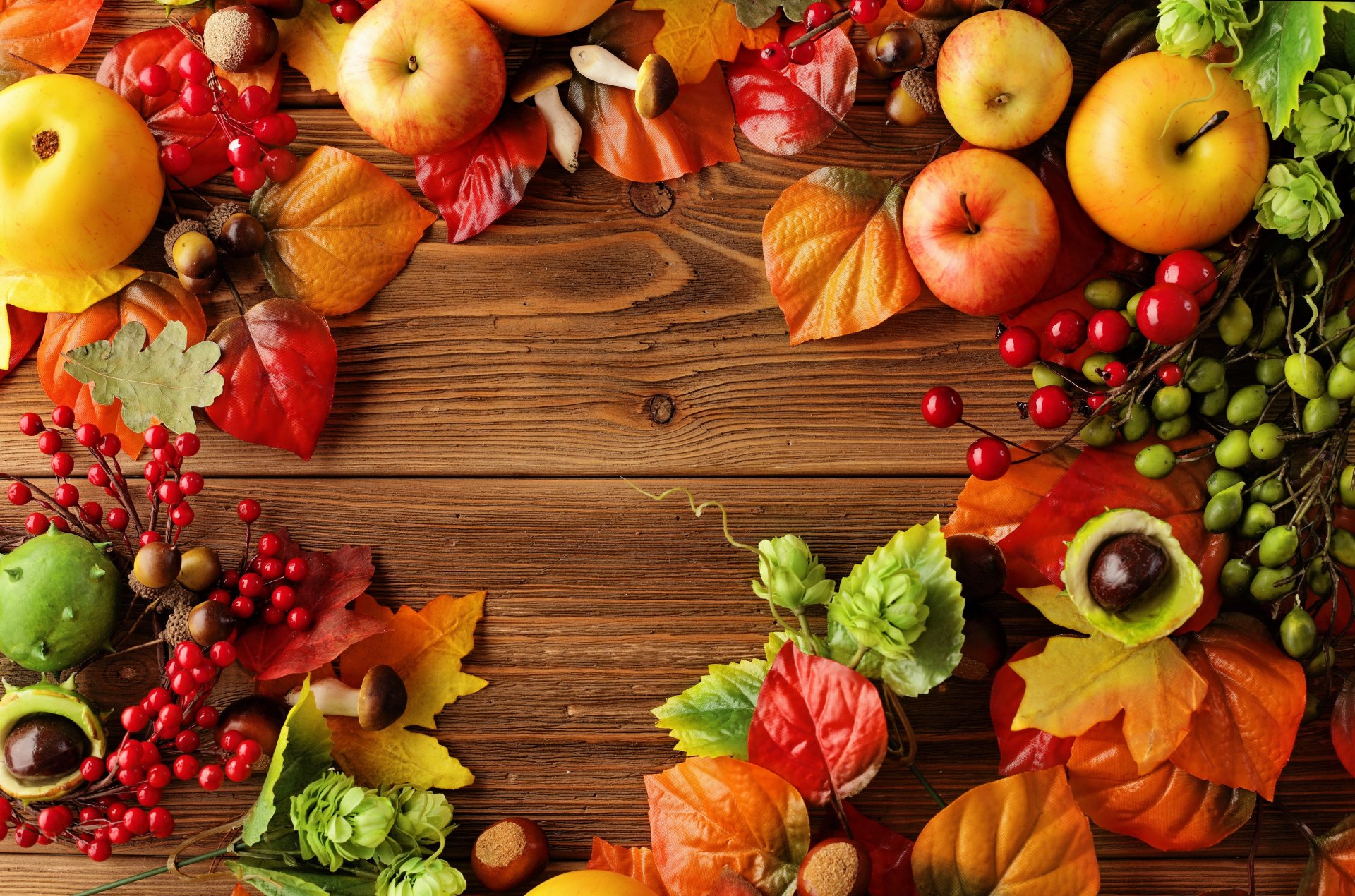 autumn leaves berries still life harvest apple