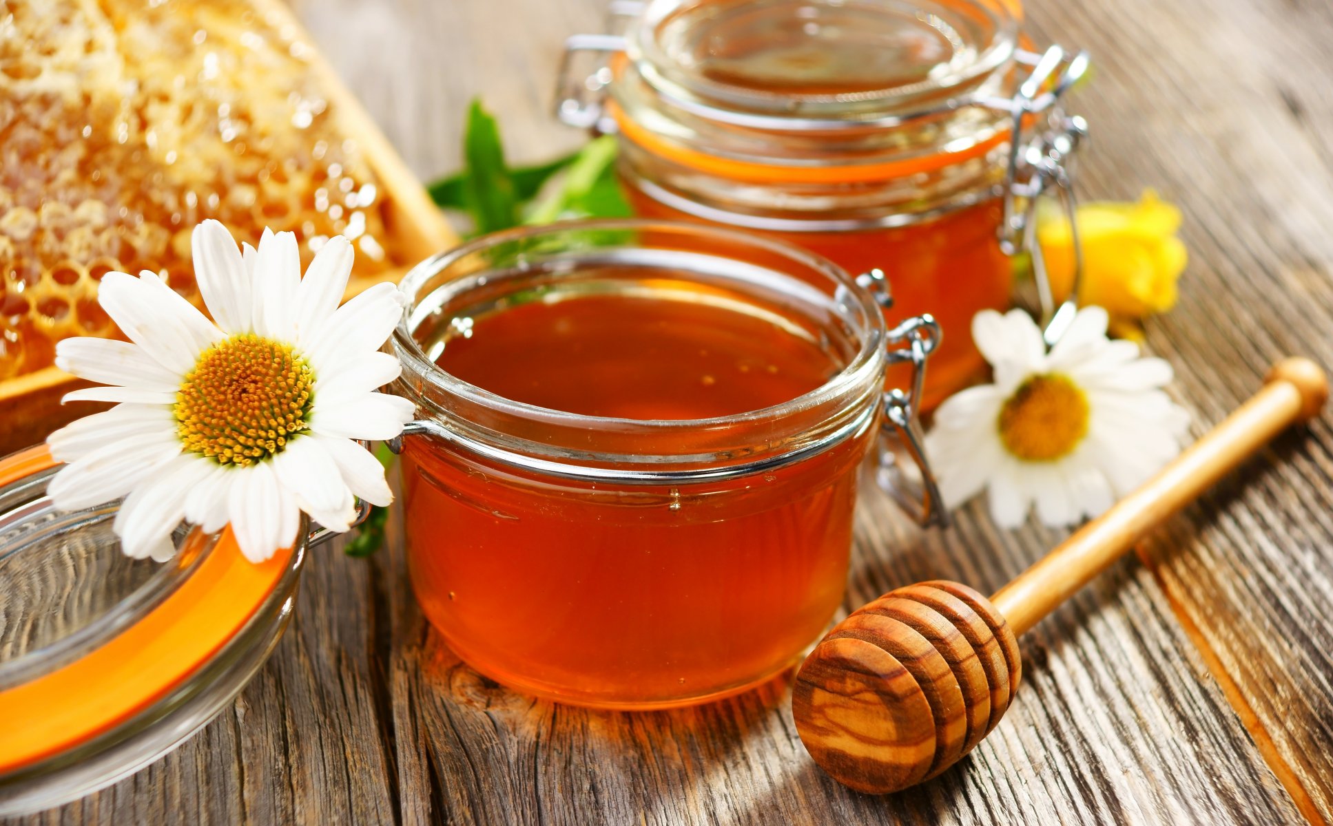 honig gläser blumen gänseblümchen löffel