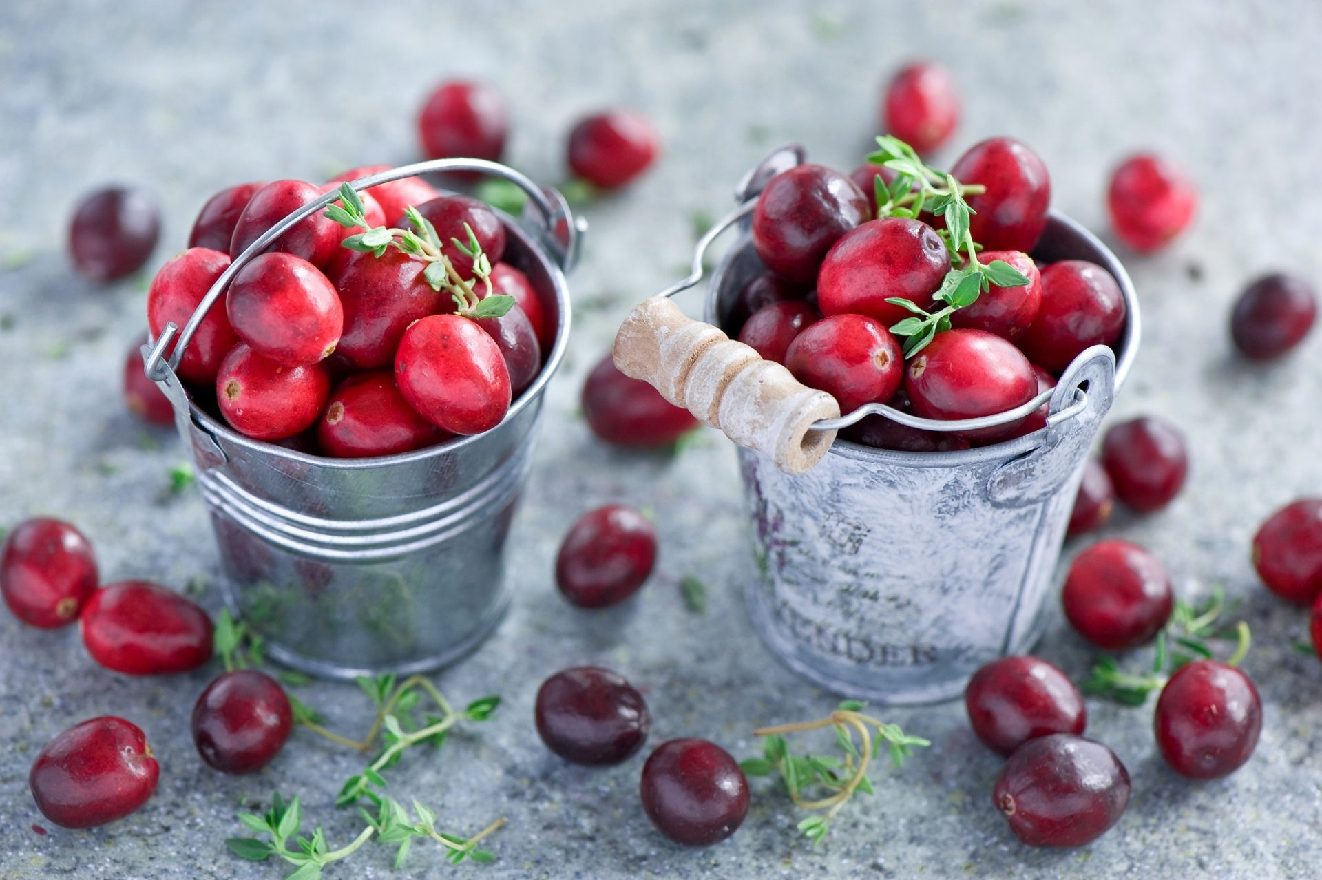 cranberries beeren rot blätter anna verdina