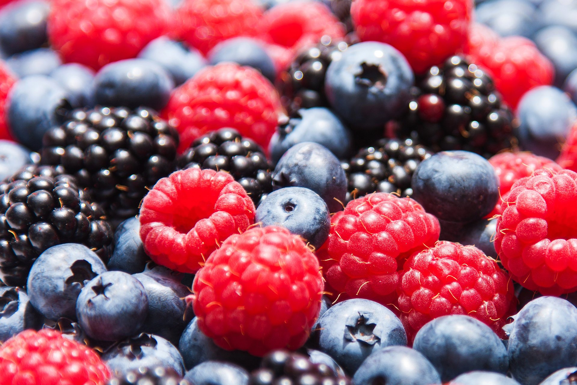 bayas arándanos moras fresas frambuesas frambuesas