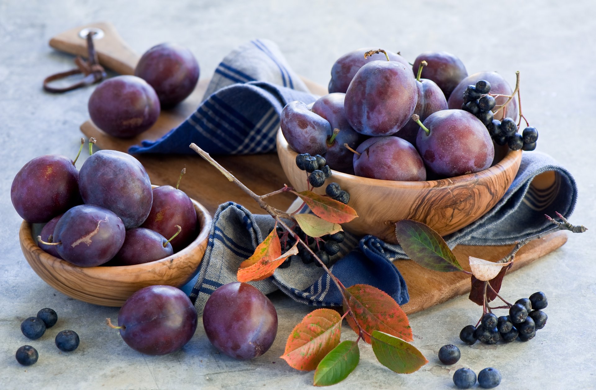 śliwki aronia jagody aronia gałązka liście