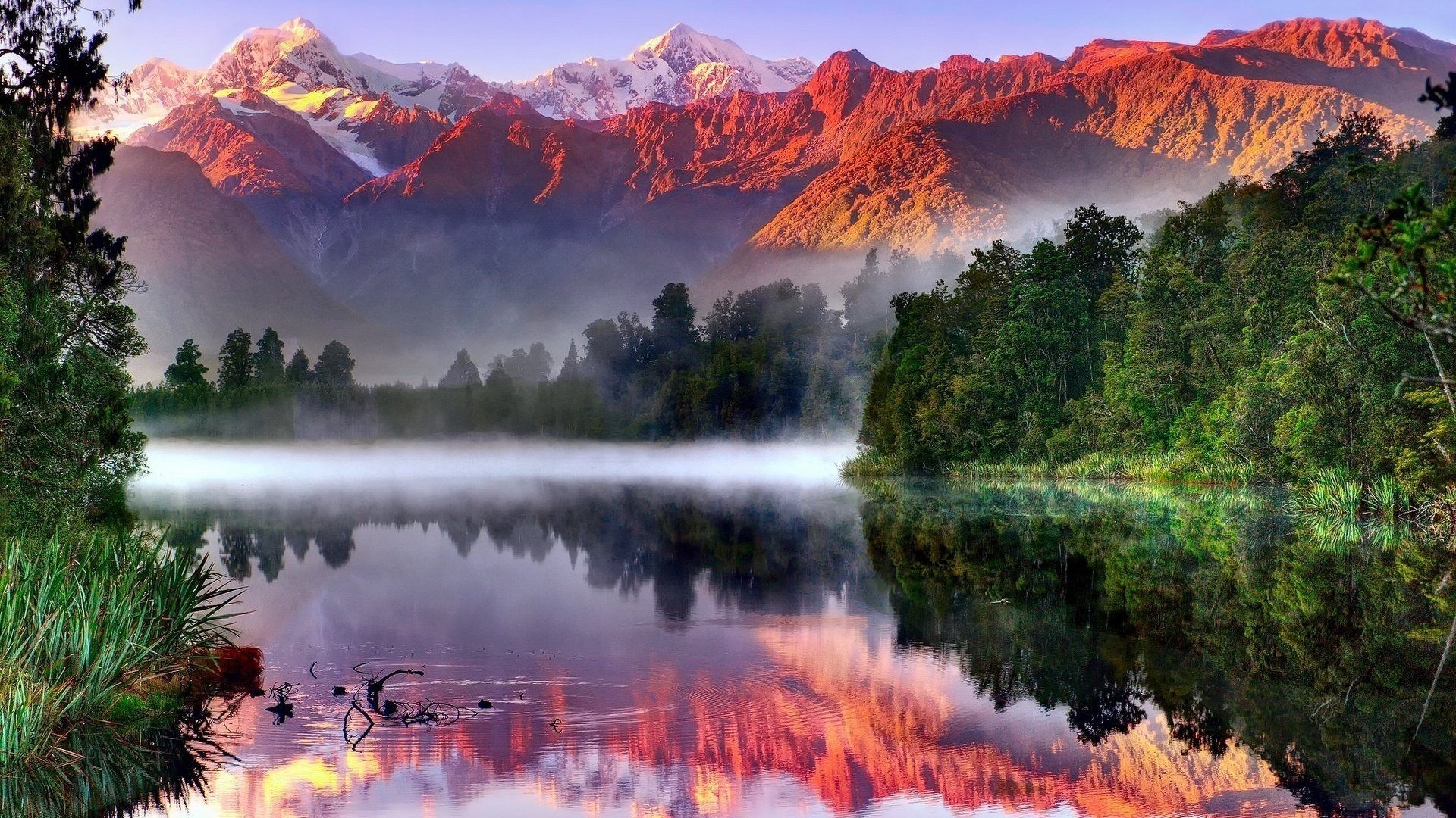 lake water mountains forest nature fog morning alp