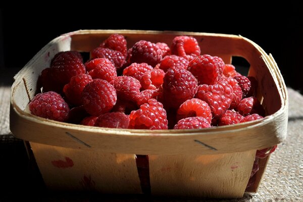 Cebolla con frambuesas dulces. Baya del bosque