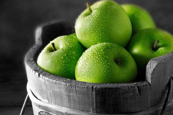 Manzanas verdes cubiertas de rocío