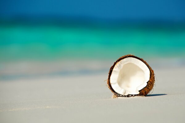 A split coconut lying on the ocean shore