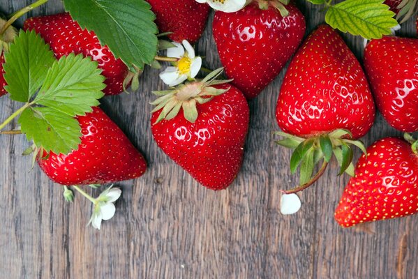 Sommerstimmung - frische Erdbeeren