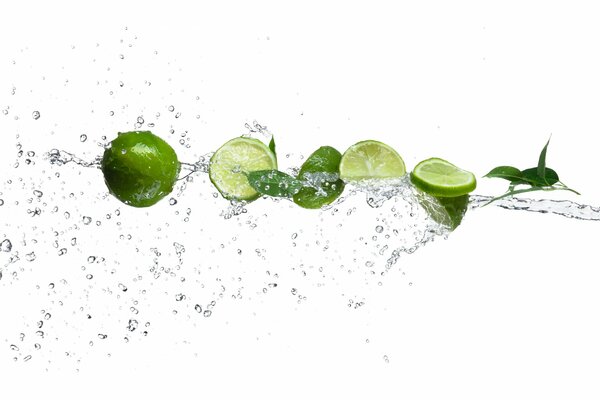 Lime slices in a splash of water