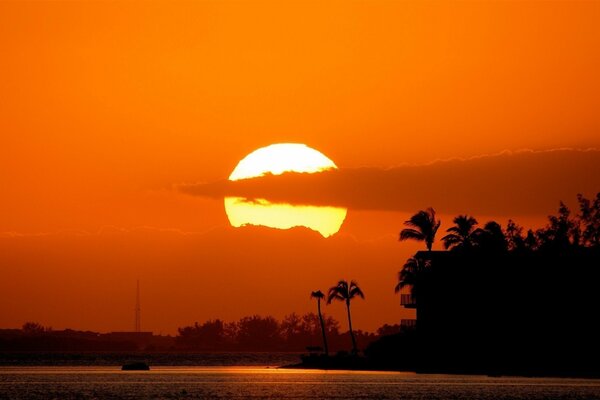 Tramonto ai tropici con nuvole e palme