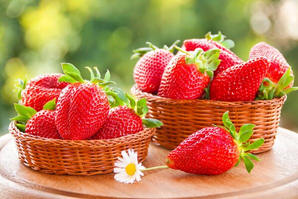 Körbe mit frischen Erdbeeren im Sommer