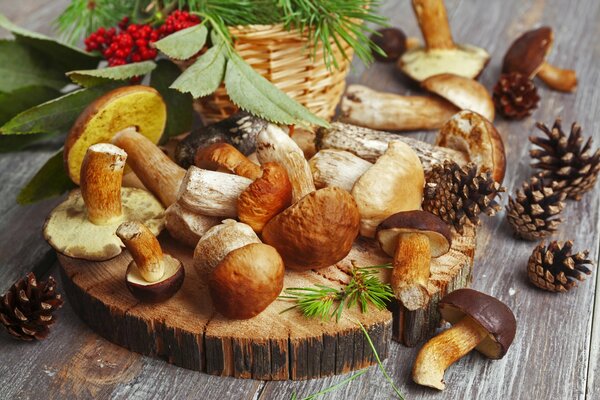 Fresh mushrooms, cones and rowan berries in a basket