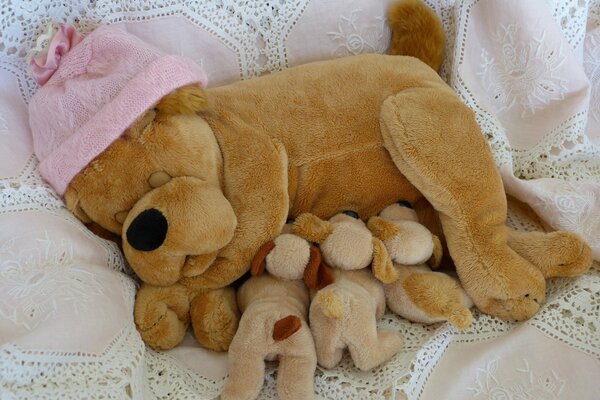 Toy dog with small puppies