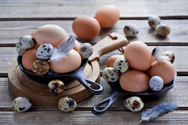 Oeufs de caille et de poulet sur une assiette