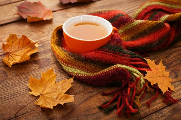 En pie hojas amarillas y taza de té