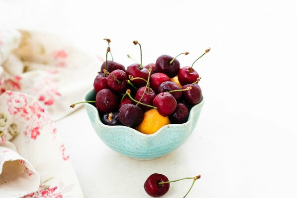 Baies fruits cerises abricots