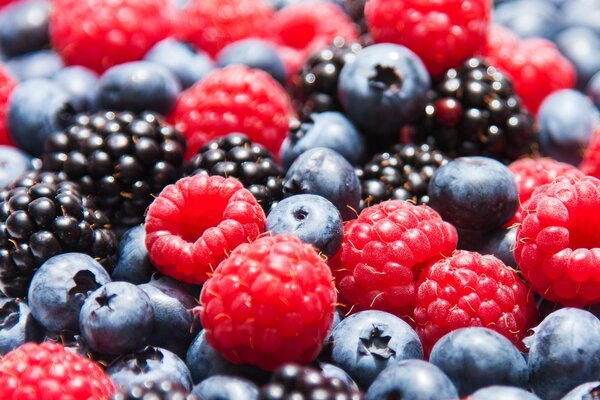 Delicious berries raspberries blueberries and blackberries