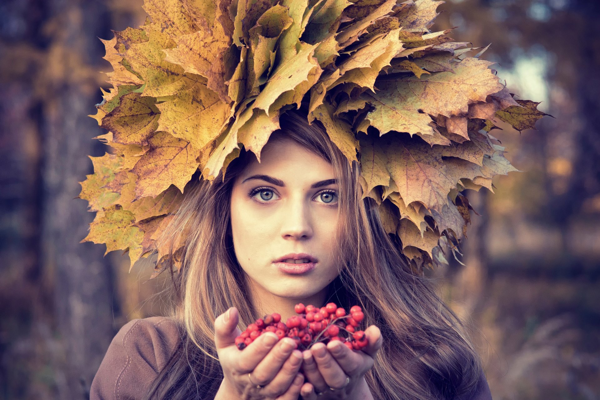 herbst porträt beeren eberesche blätter