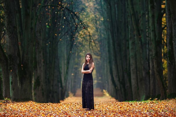 Chica en el callejón en otoño