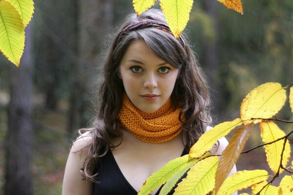 Portrait of a girl in autumn leaves