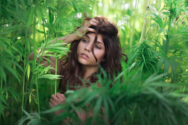 Beautiful girl in green foliage