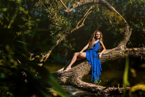 Girl in a dress in the forest on a tree