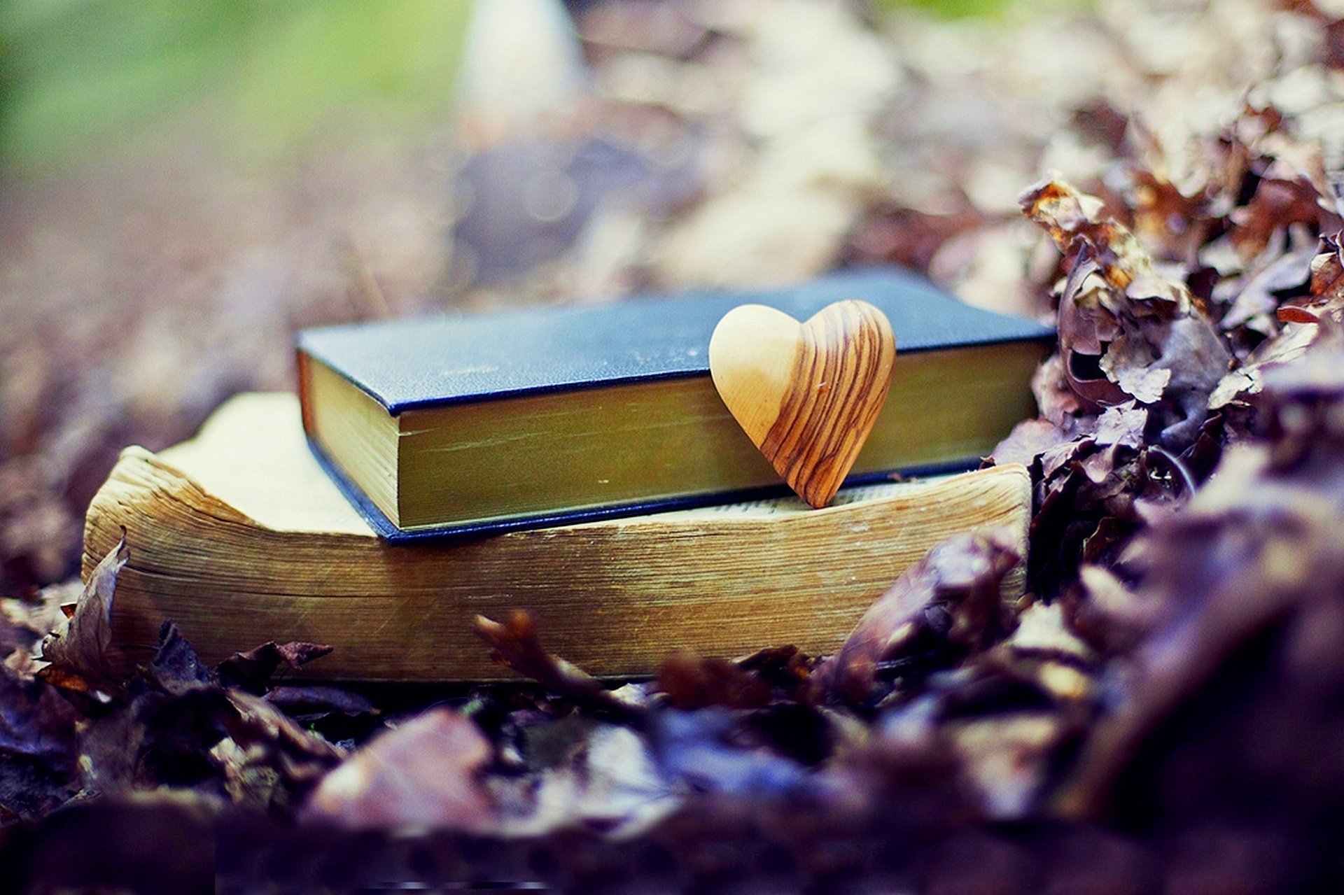 fall autumn natur bücher natur liebe blätter wald herbst old park heart