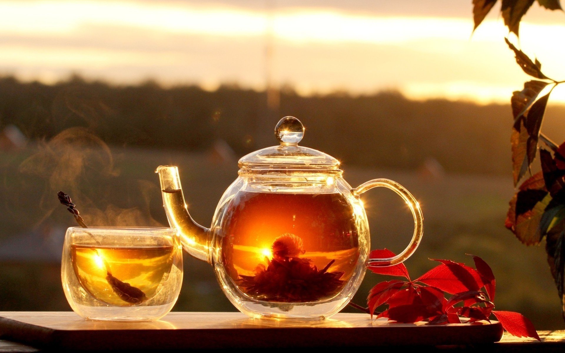 hot food tea wallpaper leaves background the tea party