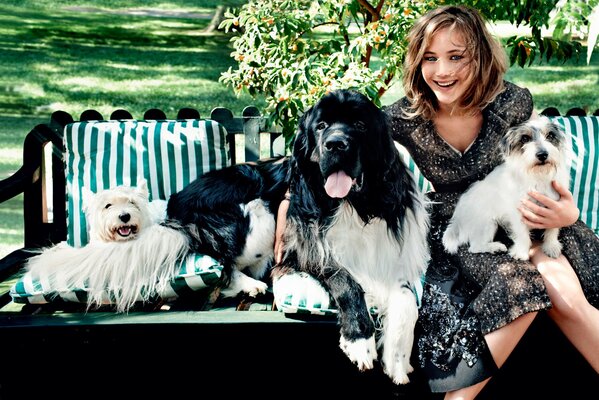 Jennifer Lawrence mit Hunden