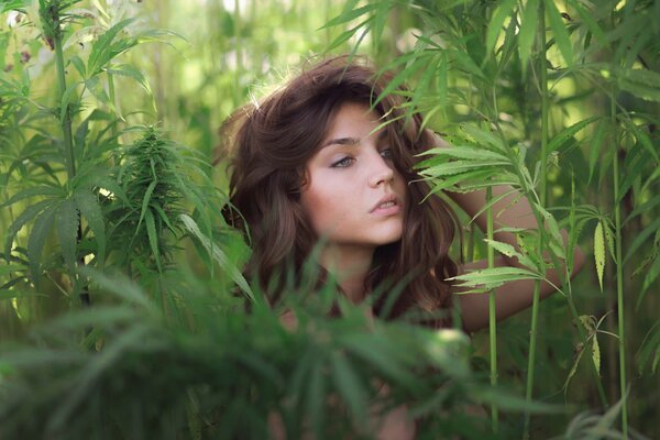 Foto de una niña en un matorral de hierba verde