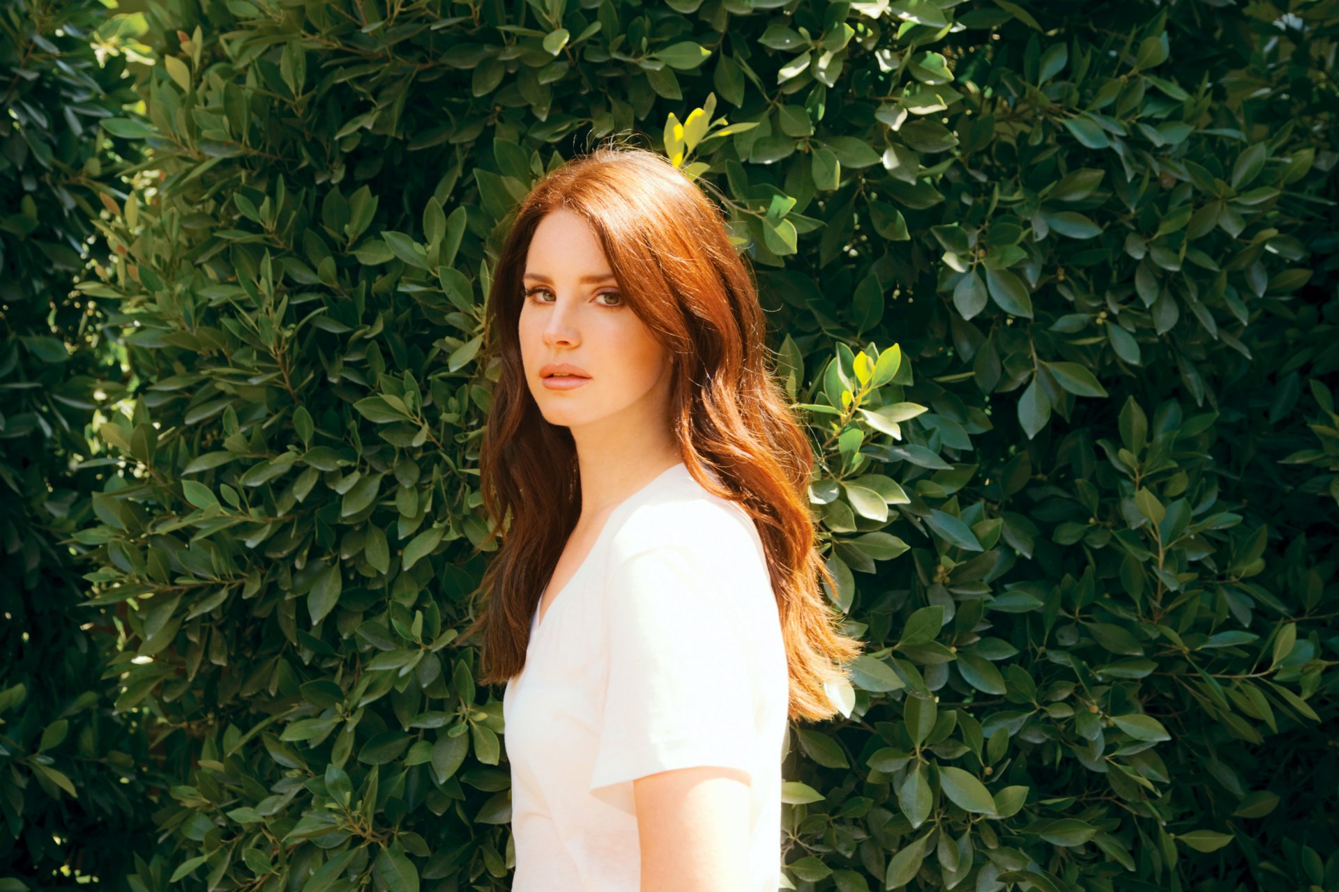 lana del rey elizabeth woolridge grant elizabeth woolridge grant singer girl hair long red background leave