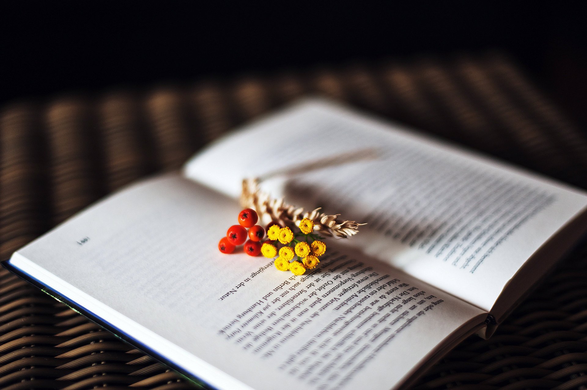 book flowers text page spike berrie