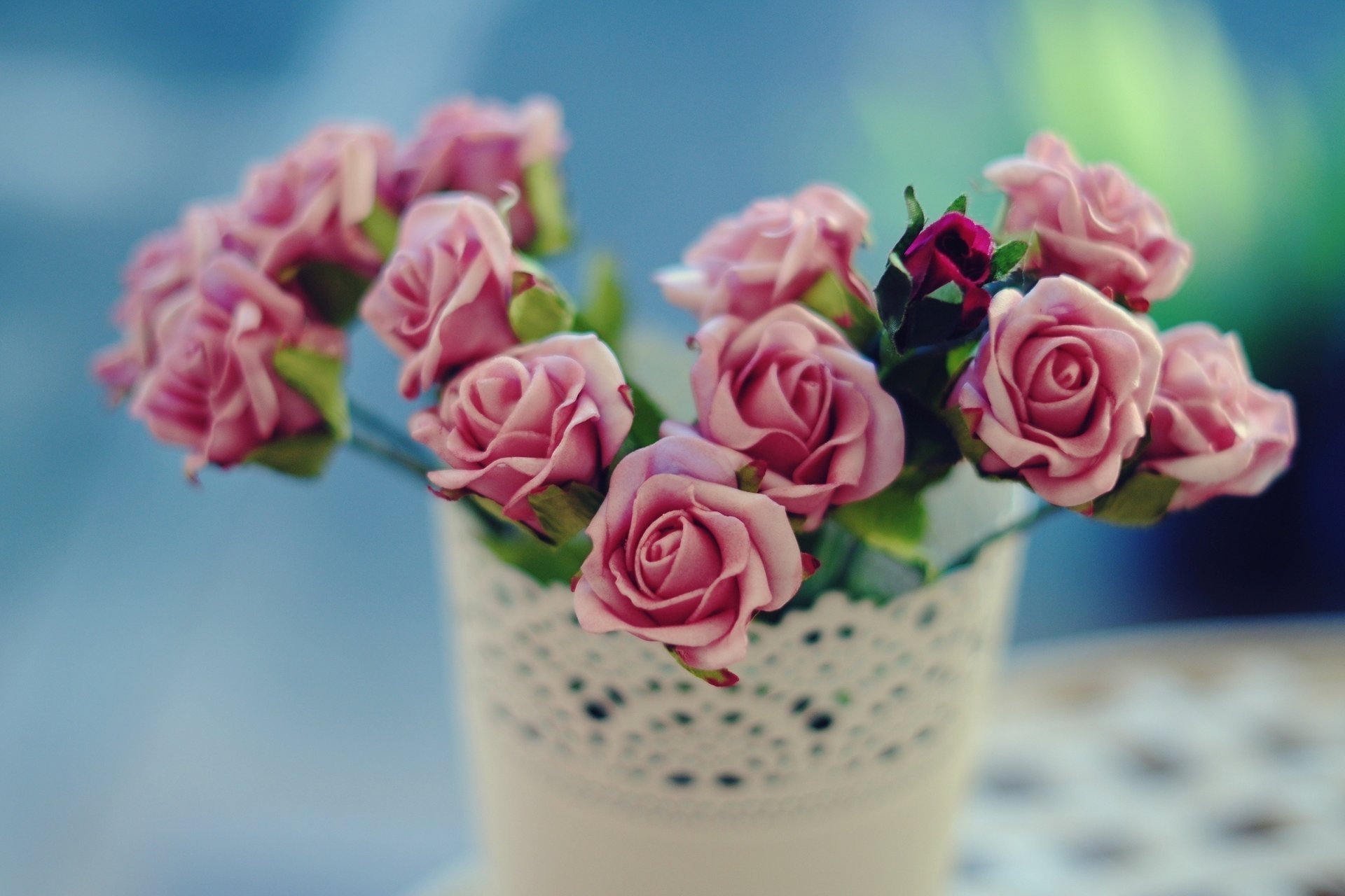 rosen blumen rosa rose vase rose blumen