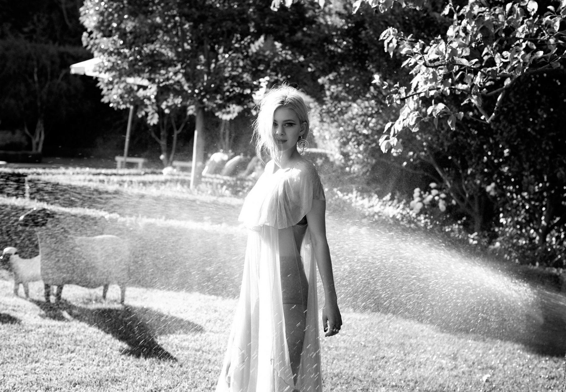 nicola peltz h b photoshoot violet grey