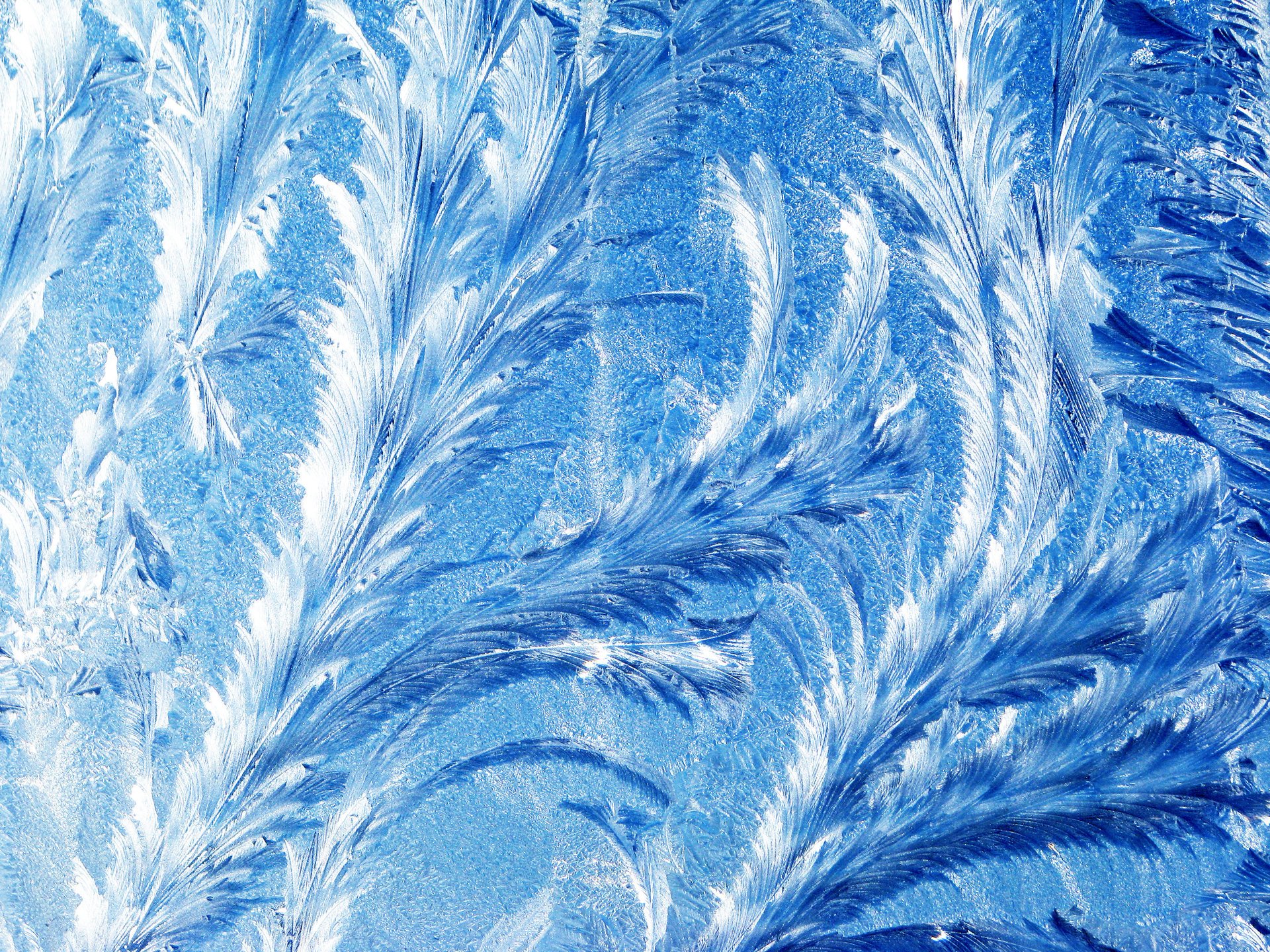 texture cold ice patterns winter