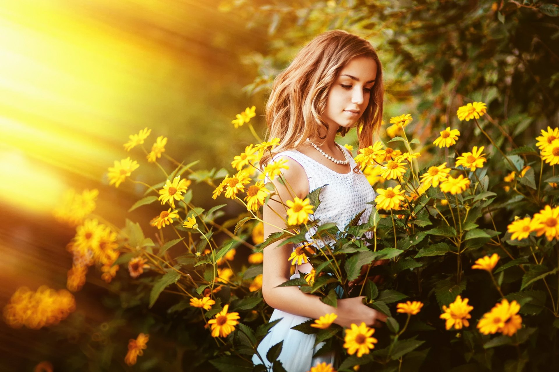 mädchen sommer sonne blumen
