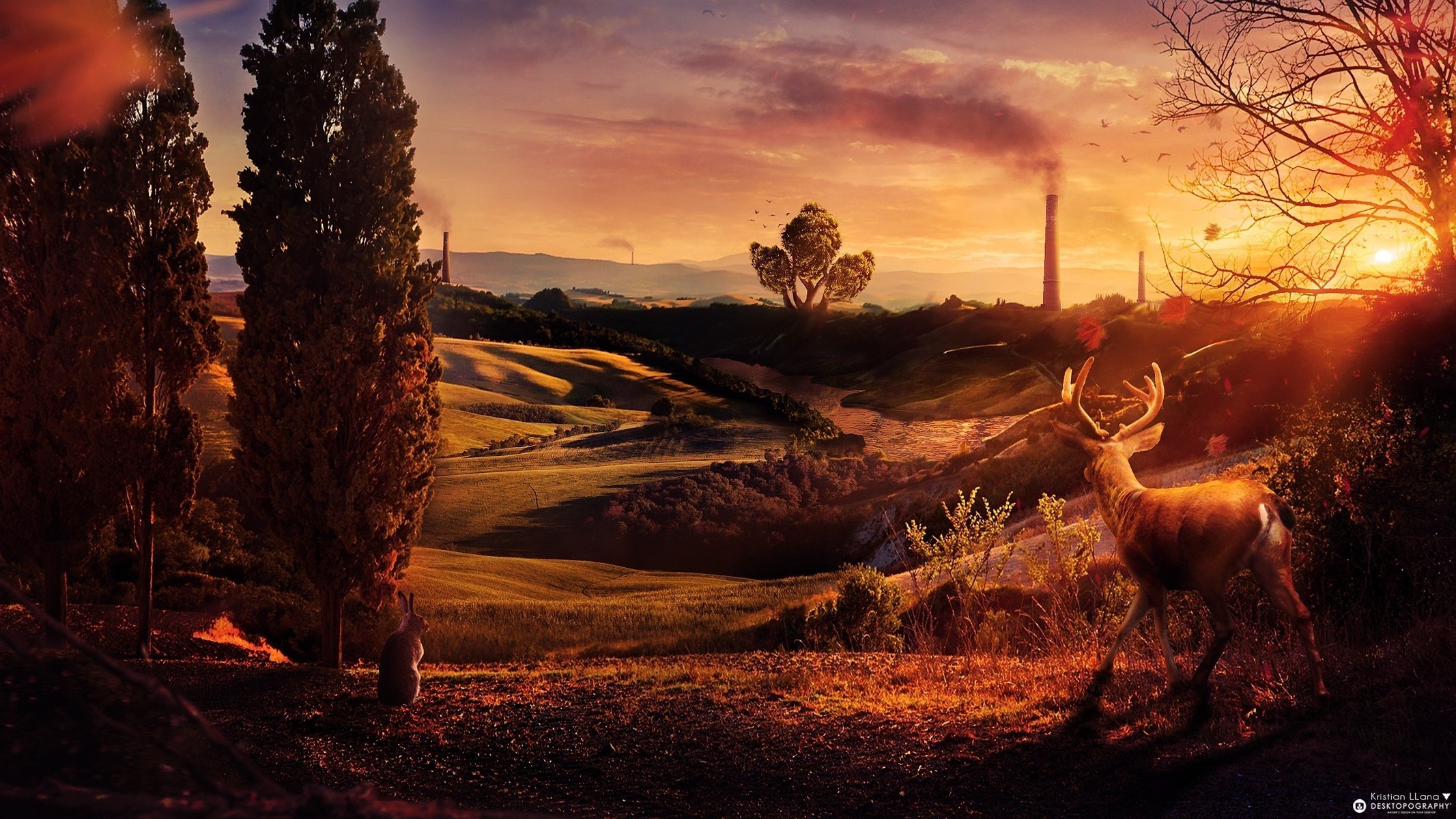 sätz desktopography cerf coucher de soleil tuyaux arbres collines