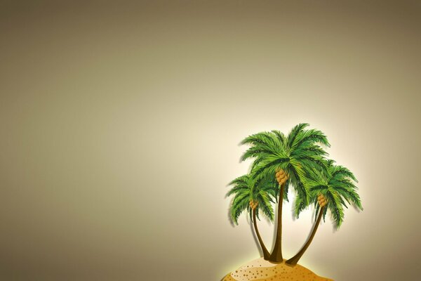 A lonely palm tree on a desert island